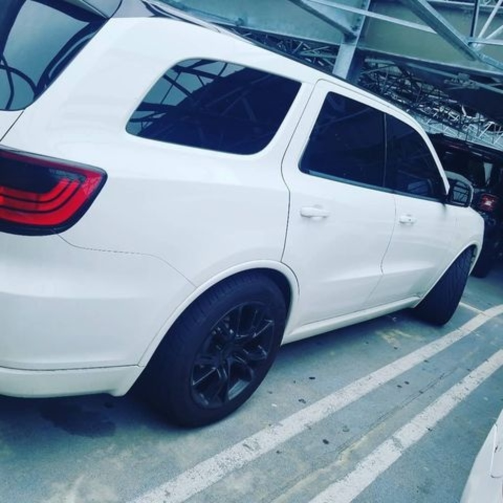 Meet your Posher, Roy